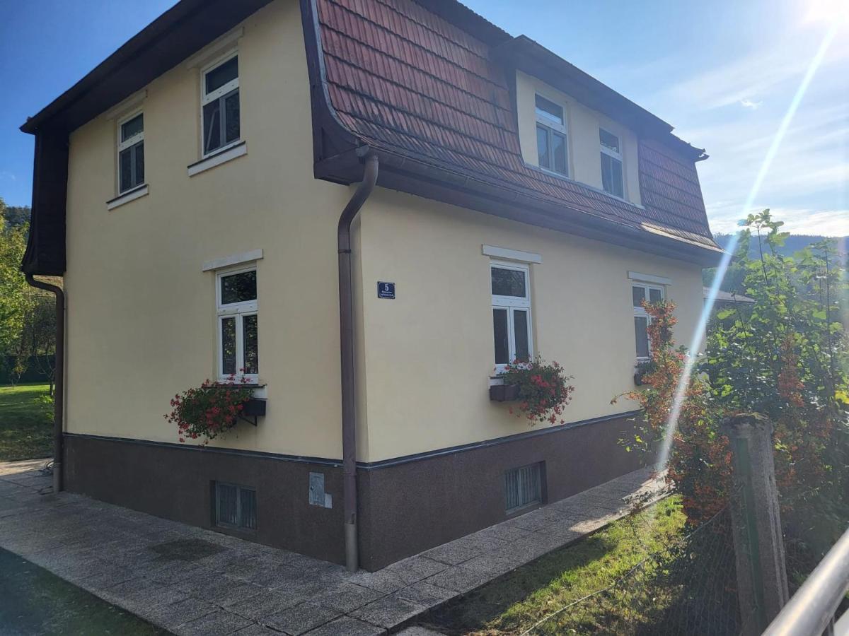 Ferienwohnung Mostheuriger Leo-Hof Eva Reichenau Εξωτερικό φωτογραφία